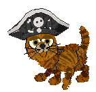 A Piratey Tabby Catz
